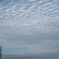 秋の空