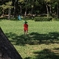 夏の公園