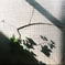 DSCF4394(1)