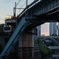 黄昏聖橋
