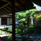 250916妙蓮寺37