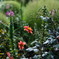 DSCF0265