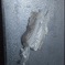 脱皮　2