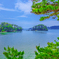 松島