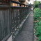 裏路地さん