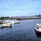 海が見たくて、、
