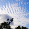 秋雲2