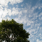 秋空