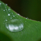 水飴
