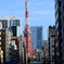 早朝の東京