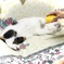 溶けねこ