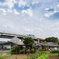 DSC02782. 秋の空の妙