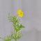 秋ですね・・。
