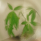 未来が見えた!?