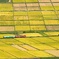 会津盆地