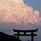 竜の巣