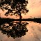夕暮れのsymmetry