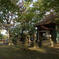 胸肩神社2