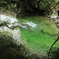 尾白川