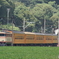 トーマス号バックビュー！