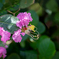 DSC02369. 秋も時めく