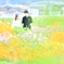 Lovers' Paradise