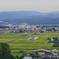 コメの具合はどうかな