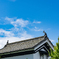 青空と鯱鉾