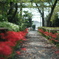 紅い参道。
