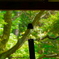 夏の終わり