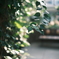 Snapshot_20250909-4