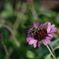 Snapshot_20250923-1