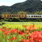 おれんじ鉄道・秋