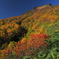 風景_Sep2025