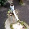 街中の井戸