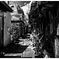 monochrome