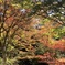 大福山の紅葉