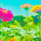 花　５７