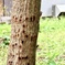 ヤバい奴3