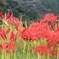 絞って絞って