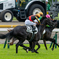 とある日の東京競馬場