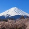 フォトコンに入賞しましたヽ(^o^)丿