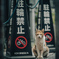 路地裏　１２８