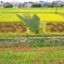 ごんの秋まつり(矢勝川2015)