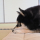 ふて寝