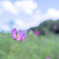 2025/08/28 準備中・・・♡