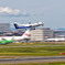 ANA WINGS/airborne 
