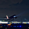 JAL/サーチライト