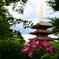 紫陽花と五重の塔