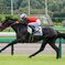 なぜか中山競馬場へ